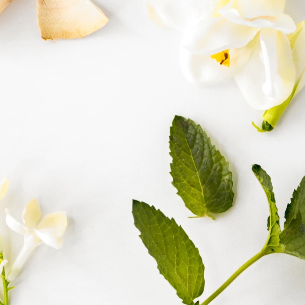 Malouf - Rise - Pura Diffuser Oil packaging torn - Picture 2 of 3